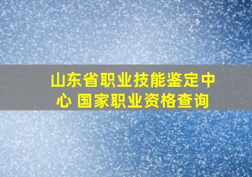 山东省职业技能鉴定中心 国家职业资格查询